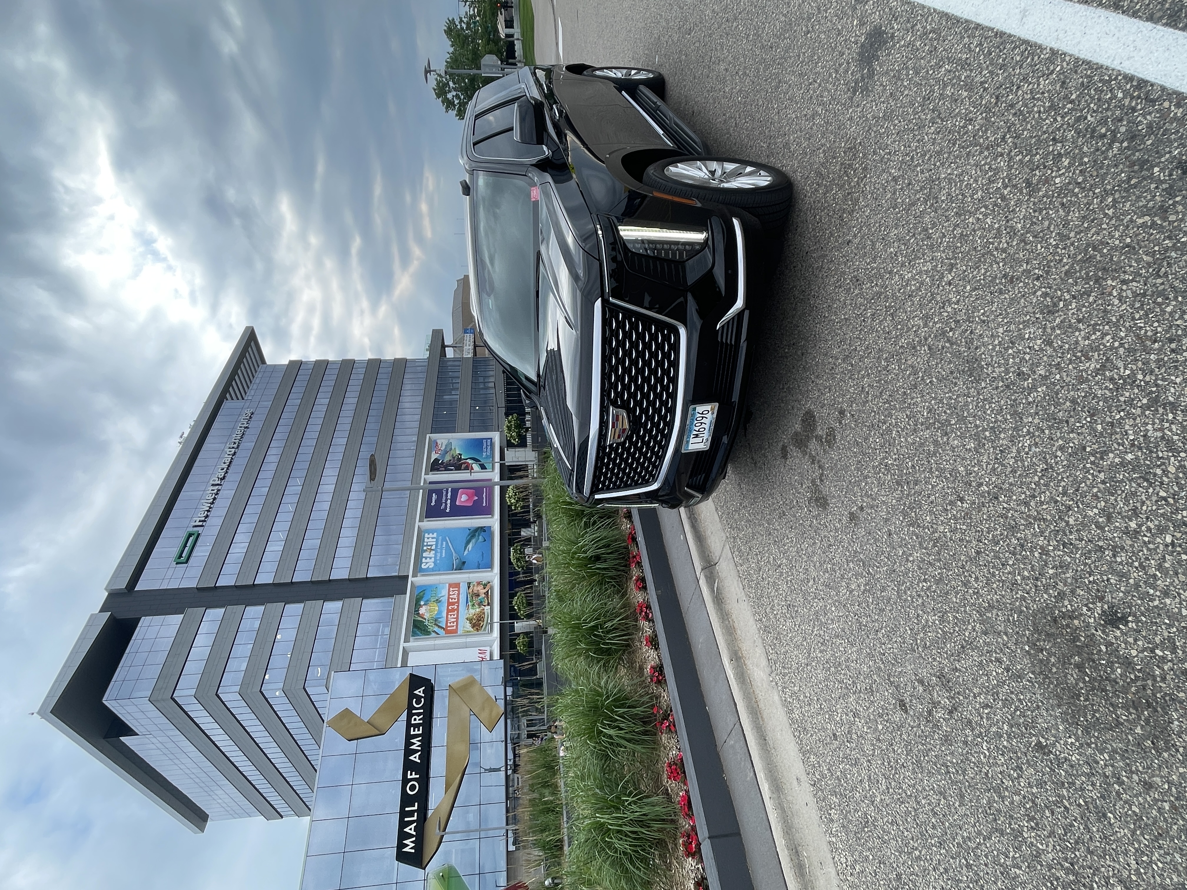 MSP Black Limo Cadillac Escalade
