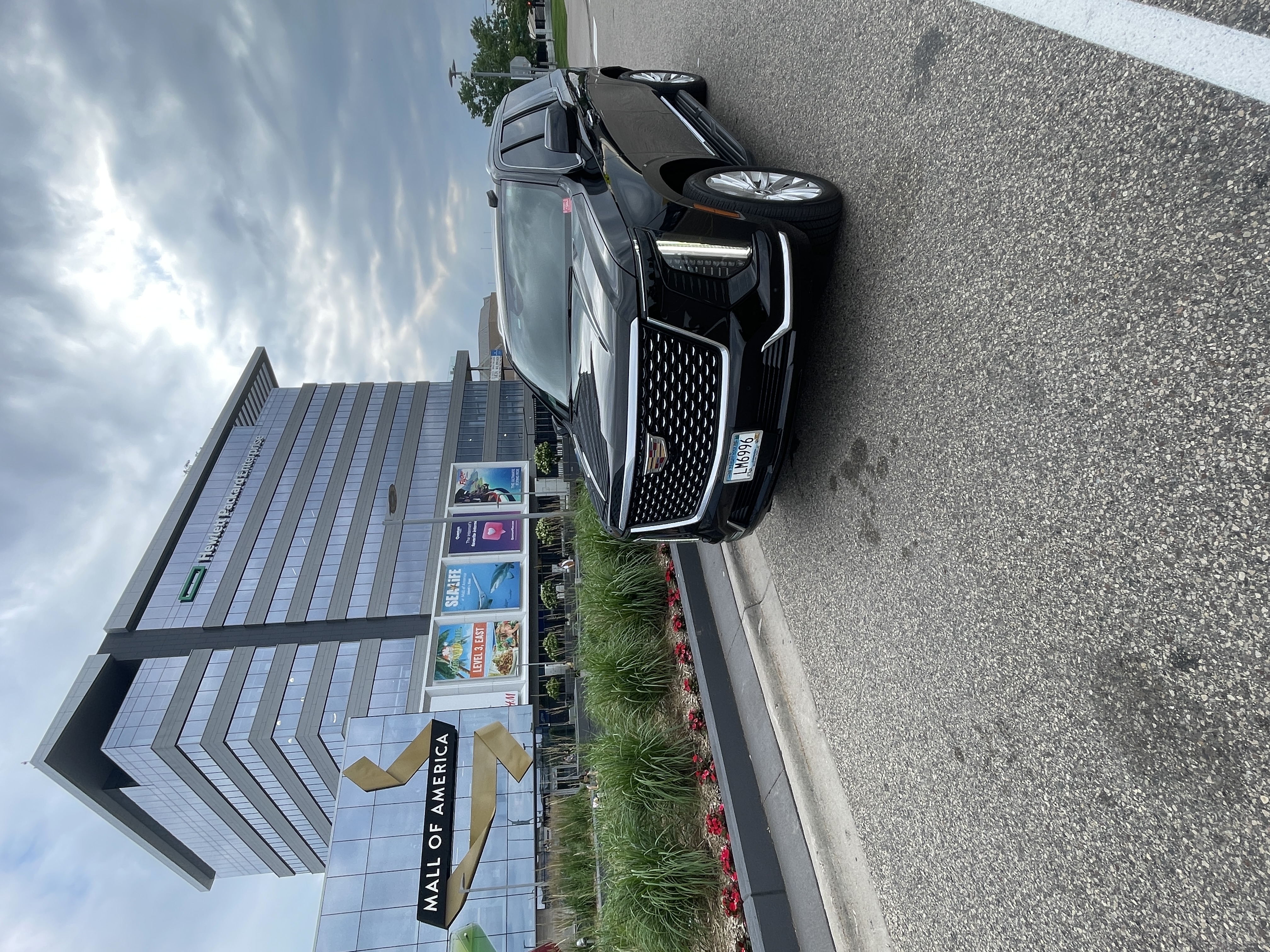 MSP Black Limo Cadillac Escalade