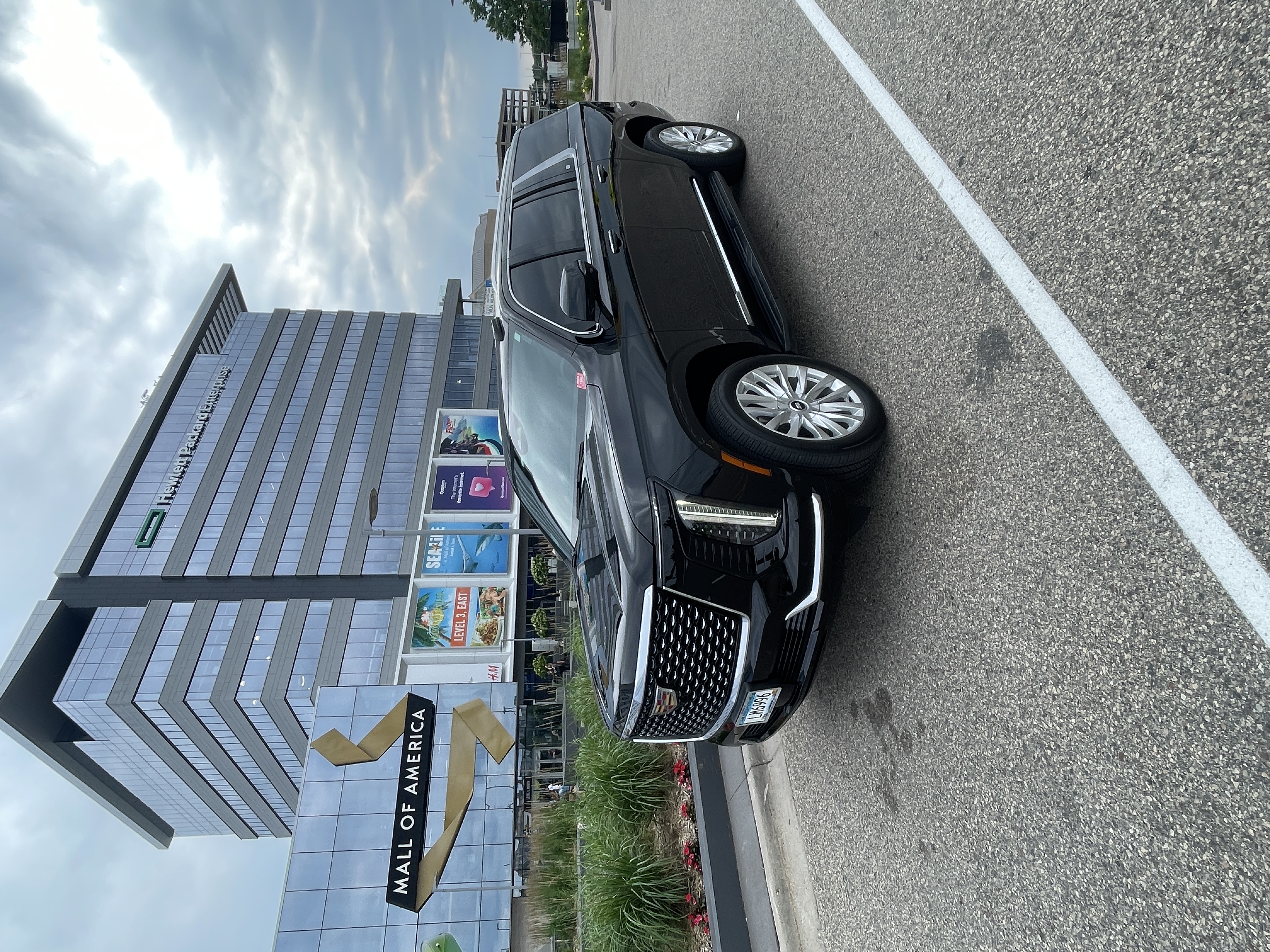 MSP Black Limo Cadillac Escalade