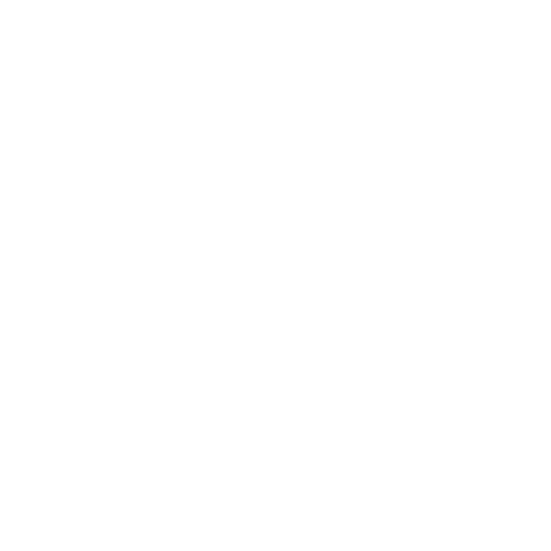 MSP Black Limo